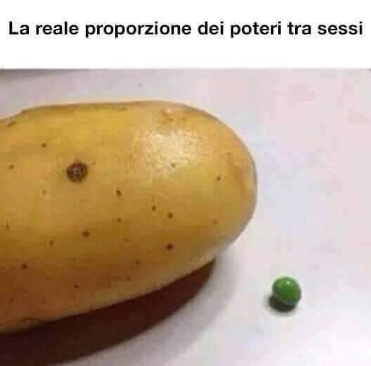 La dura realtà dei fatti.