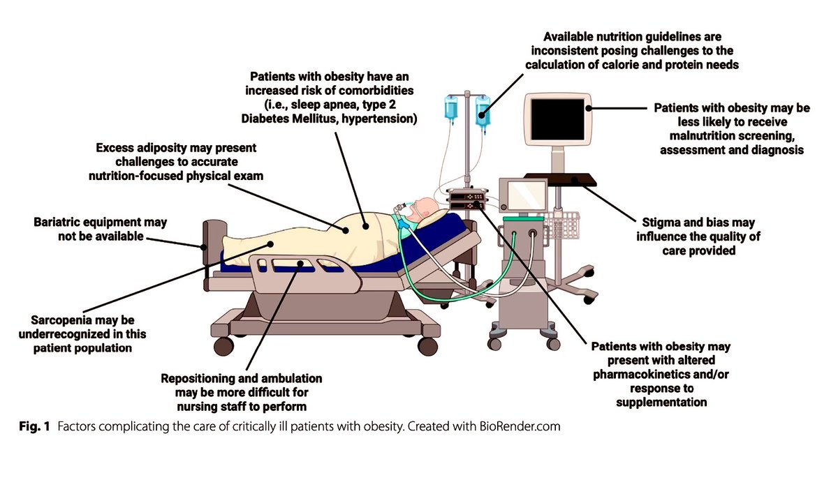 Paul_Wischmeyer's tweet photo. 🔥MUST READ!  Obesity &amp; Critical Care Nutrition Review in @Crit_Care 

🔗 Free Download at: https://t.co/w68UI1S50U

#FOAMcc #ICUNutrition #MedEd #MedTwitter #obesity @jlvincen https://t.co/hynnnxn9nE