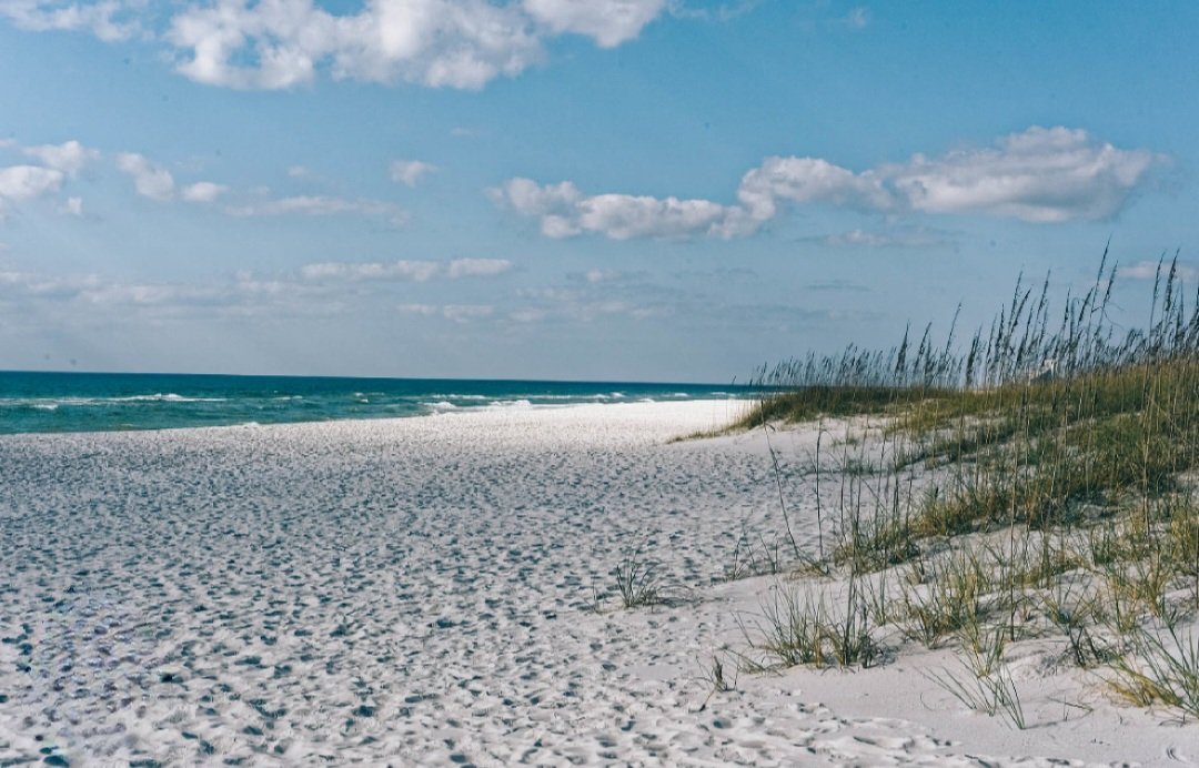 @Havenlust Perdido Key State Park. 🪄🪄🪄

Rare to find coastline in Florida without condominiums in sight as far as the eyes can see...in all directions. ✨️