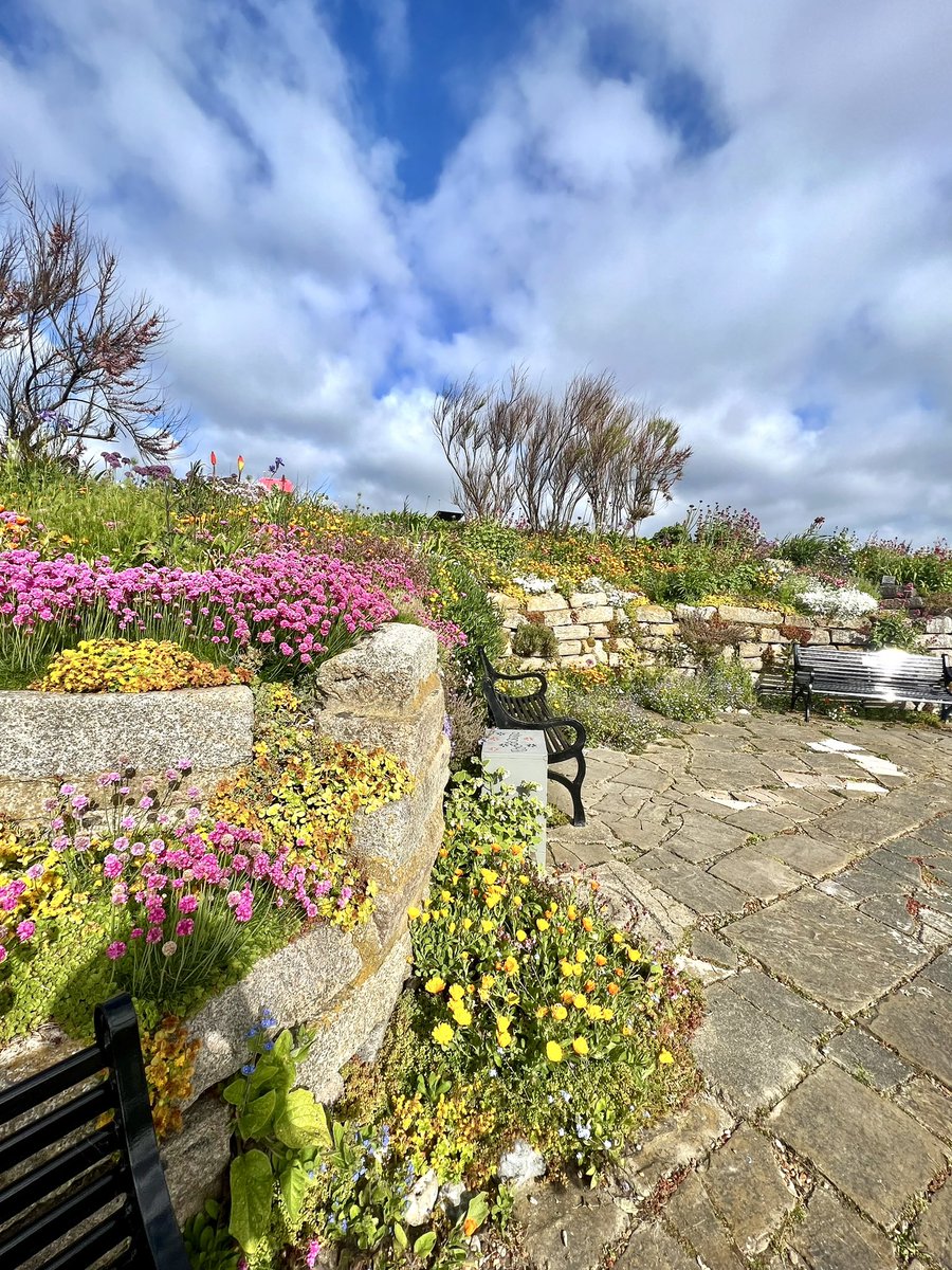 Love where I live - best time of year for the garden 😁 #sandowncastlegardens