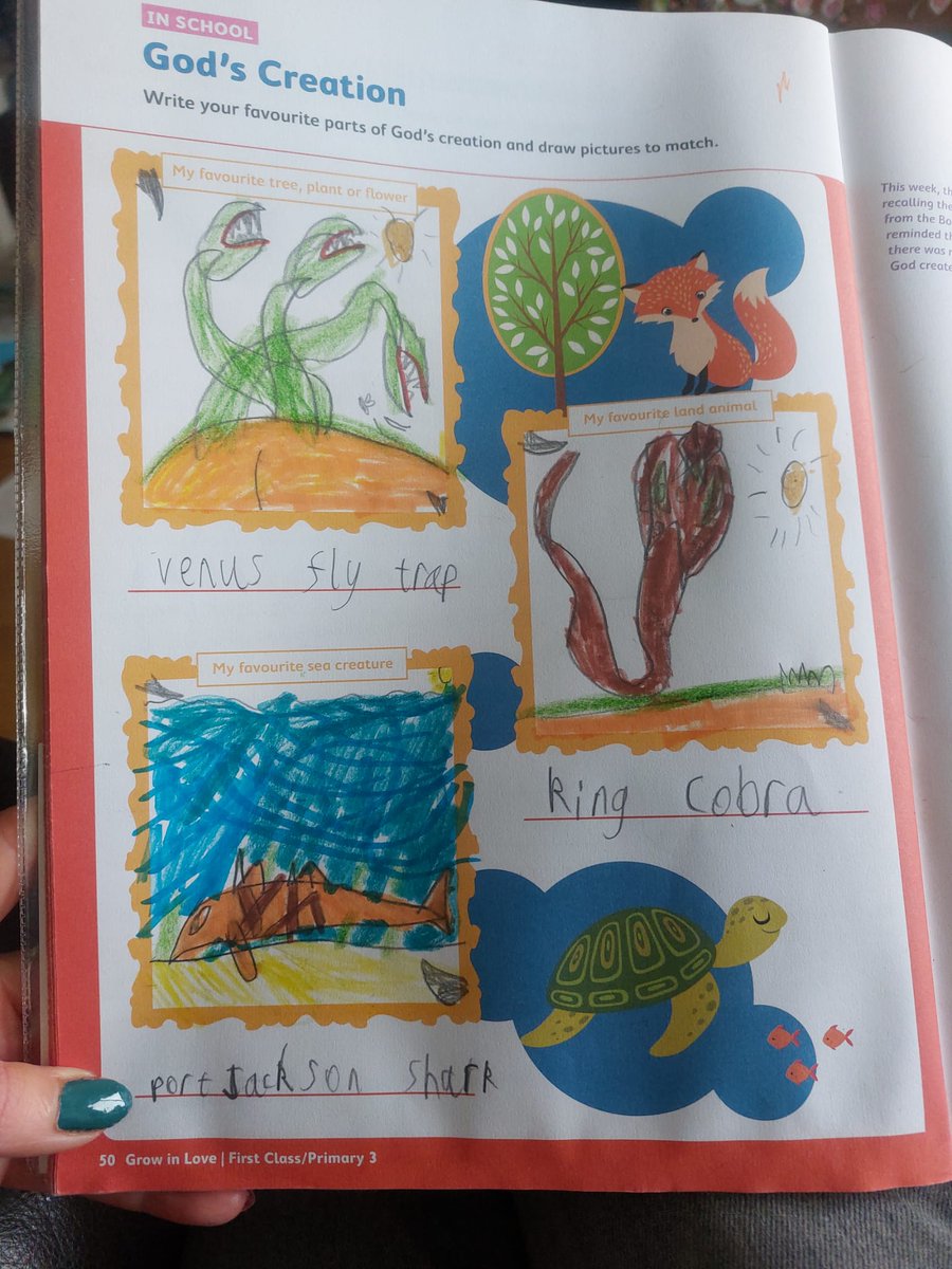 So E attends a Catholic school (although we have no religion). They do a book called Grow in Love. Today in class they were asked to draw their favourite parts of God's creation. I'm sharing E's as there are such lovely details showing his love for nature.
#SundayFishSketch