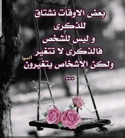 Tarek🔥 (@tarke0001) on Twitter photo 