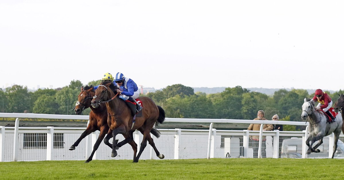Shadwell_EU's tweet photo. WOW! 🤩

356 days after his last racecourse appearance when winning the Gr.1 Coronation Cup, HUKUM returns in style!🥇🔵⚪️ https://t.co/sJx8Fm826I