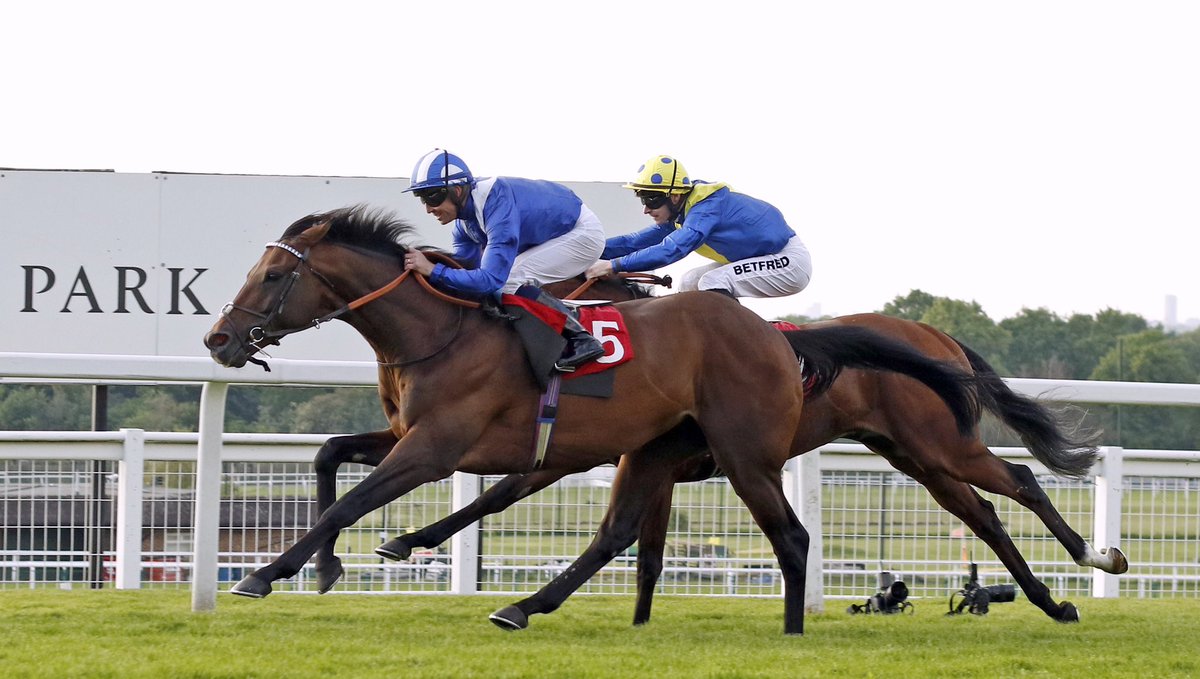 Shadwell_EU's tweet photo. WOW! 🤩

356 days after his last racecourse appearance when winning the Gr.1 Coronation Cup, HUKUM returns in style!🥇🔵⚪️ https://t.co/sJx8Fm826I