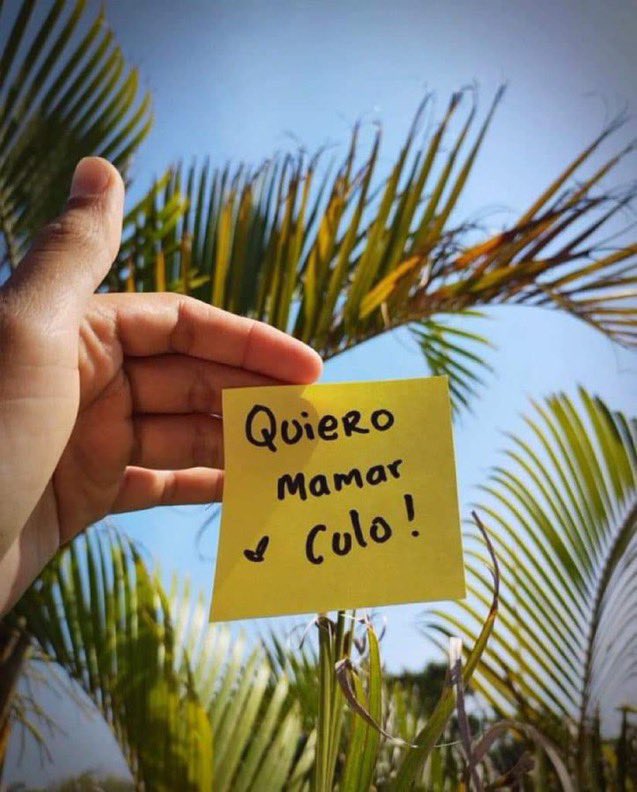 _yef1's tweet photo. Así tal cual, de mero fin de semana. Jaja

#piedecuesta #Floridablanca #Bucaramanga #bucaragay #BucaramangaGay #cruisingGay #activo #piedecuestagay #gaypiedecuesta https://t.co/a2vU4r6dDh