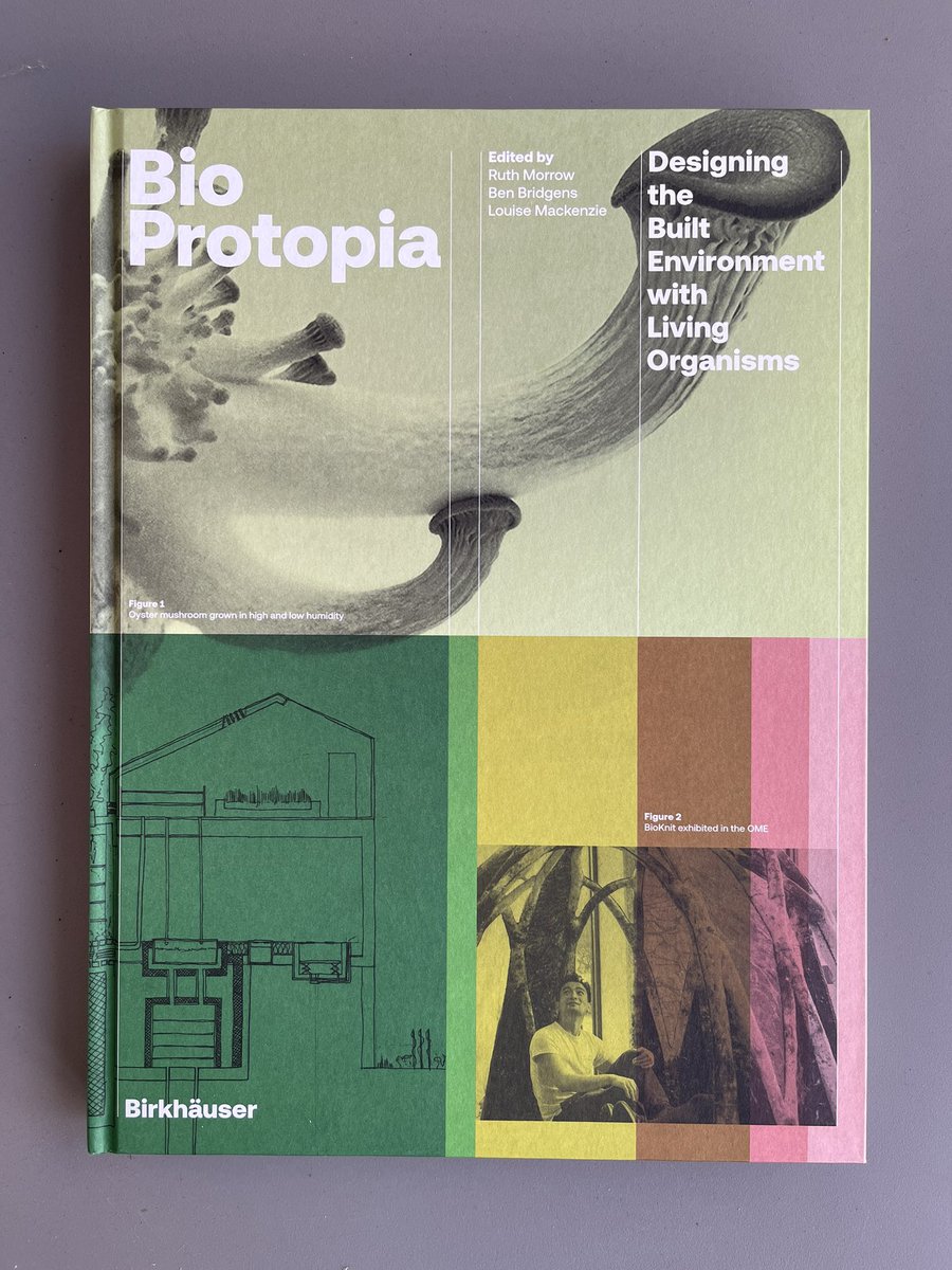 ruth morrow tweet media