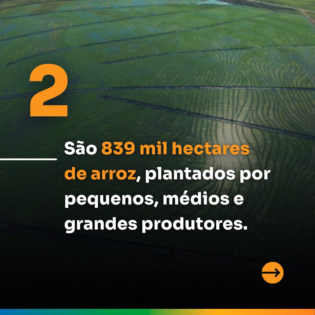 Heinzeoficial's tweet image. Deixe sua opinião 🔽

#Agro #ProdutorRural