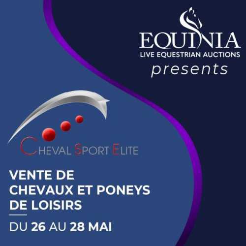 Cheval Sport Élite tweet media