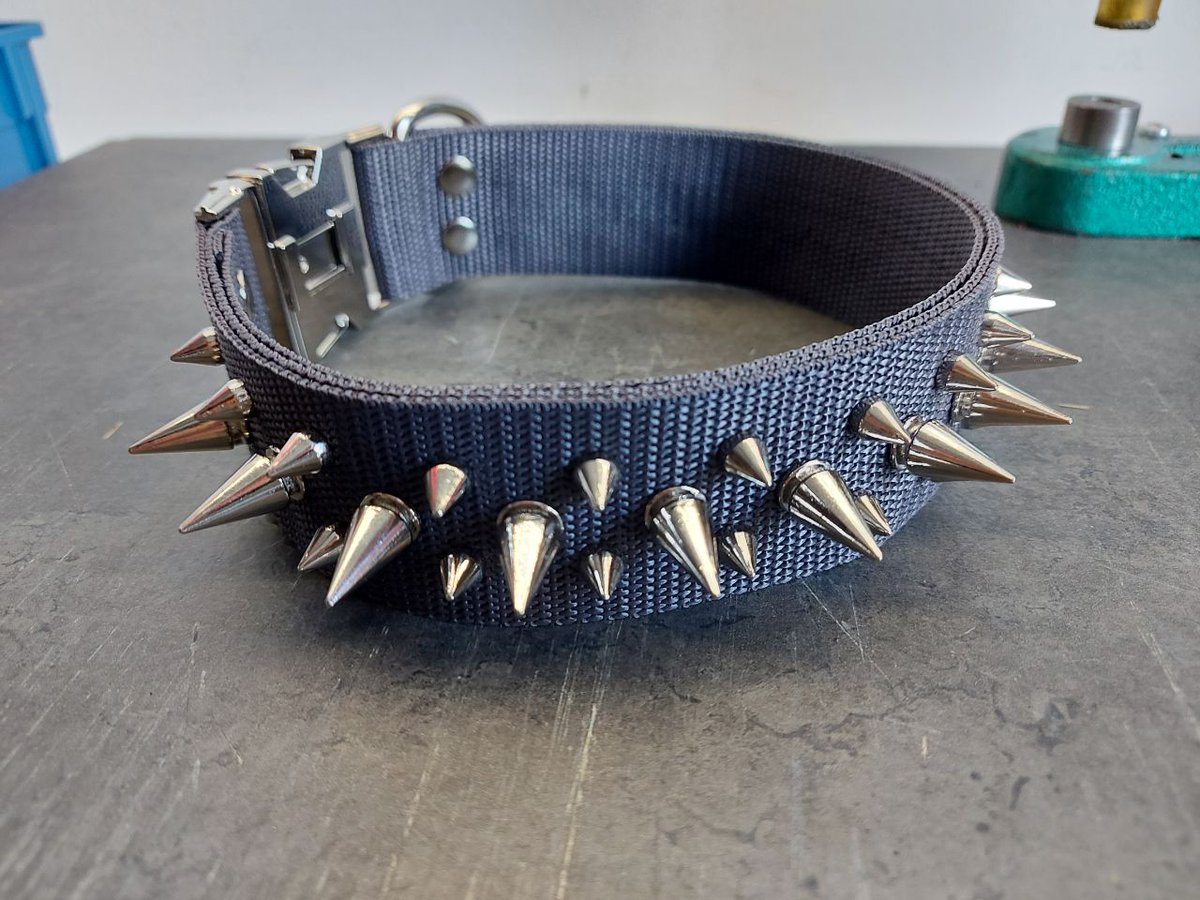 Spiked collar tryout
