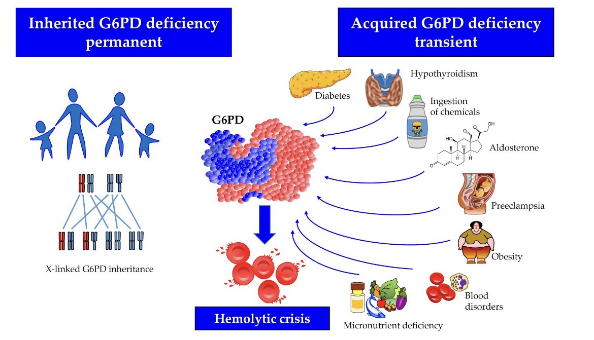 Lab _ Conference (lab_conference) / Twitter