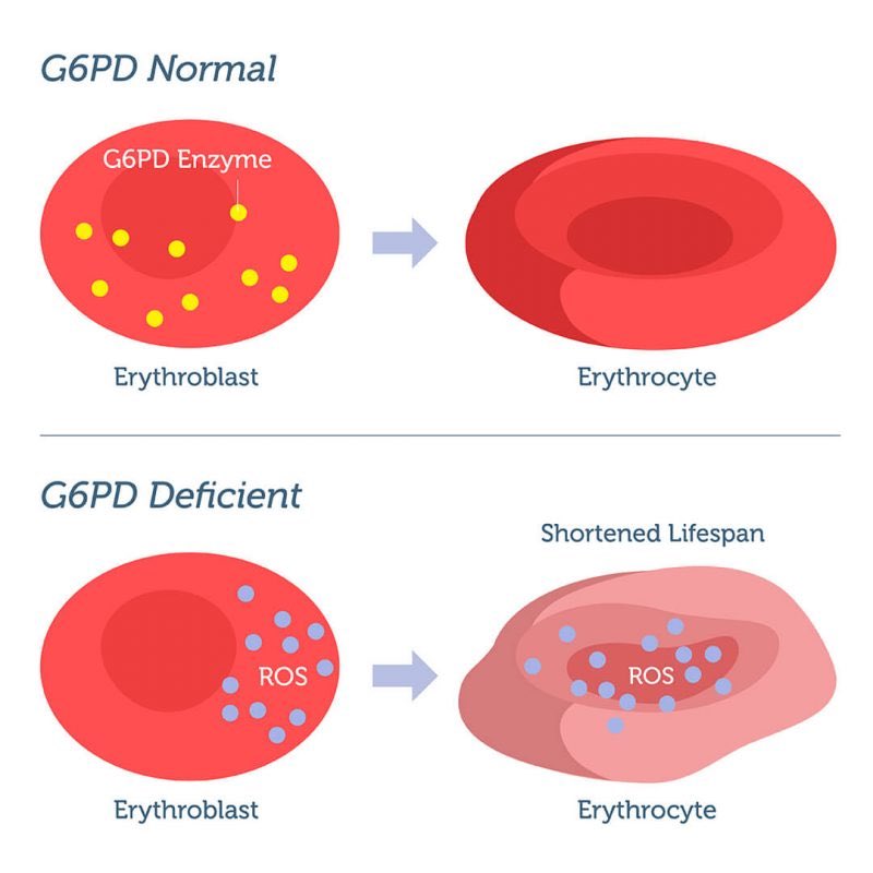 Lab _ Conference (lab_conference) / Twitter