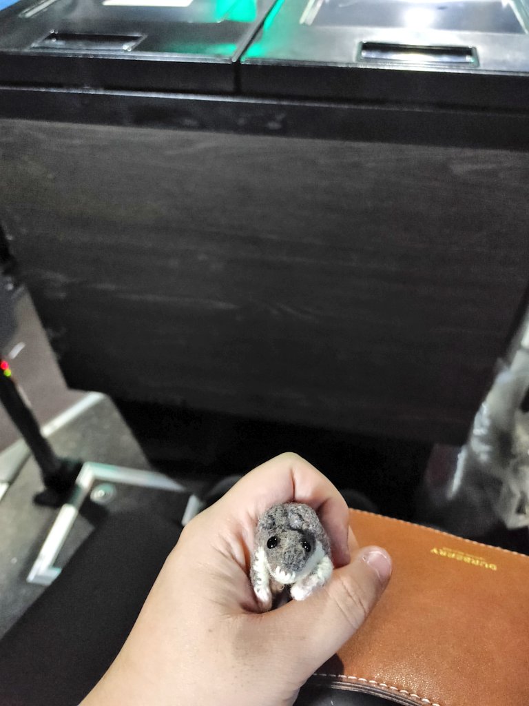 하얀토끼 tweet media