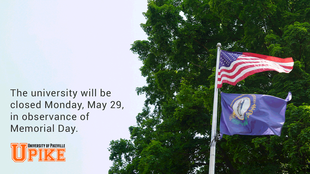 UPIKE 🐻 tweet media