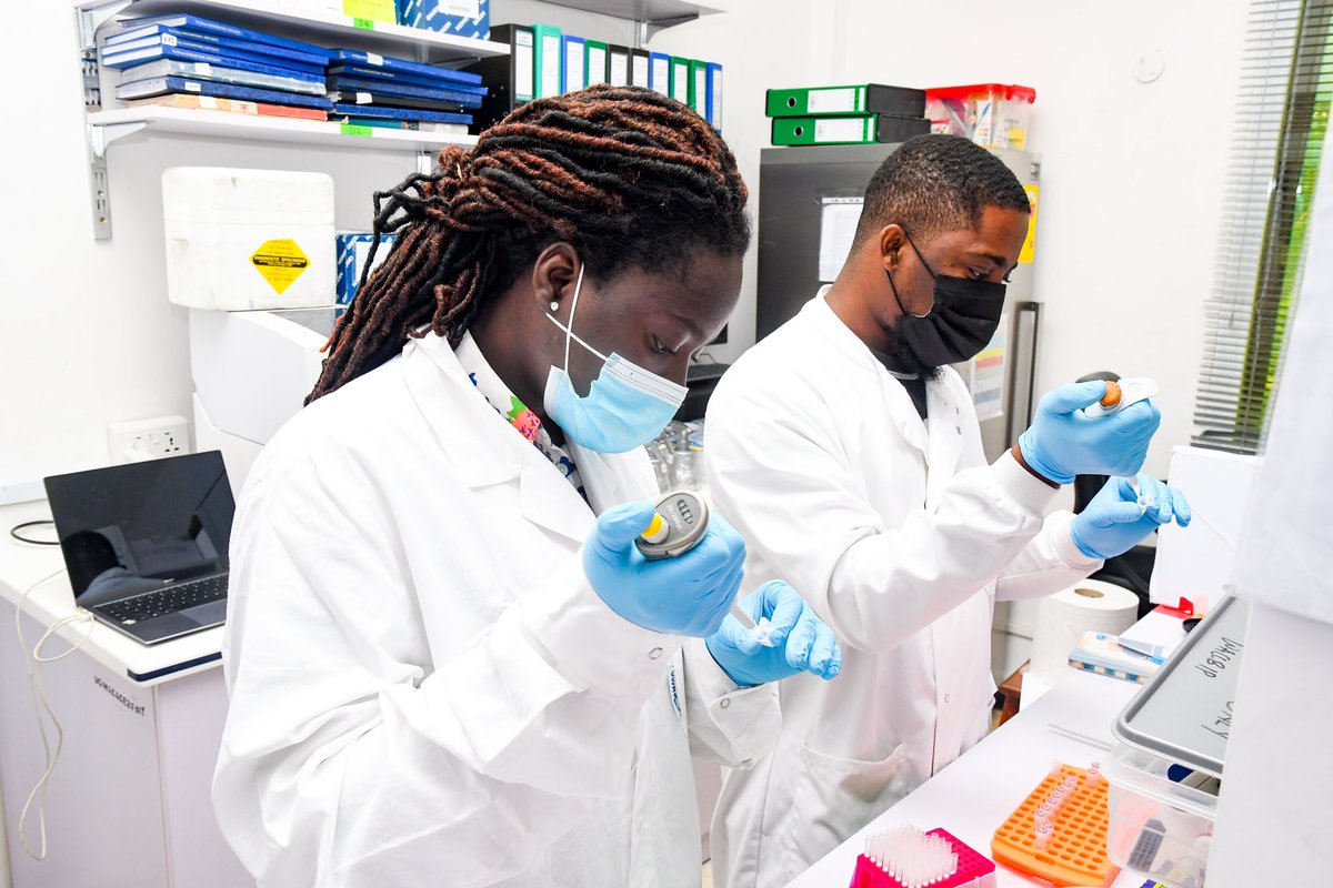 At @WACCBIP_UG we're building  the Africa we want and celebrating #AfricaDay by continually providing training excellence to the next generation of African scientists and conducting cutting-edge research to address health challenges. 
#DELTASAfricaII  
#FromScienceToImpact