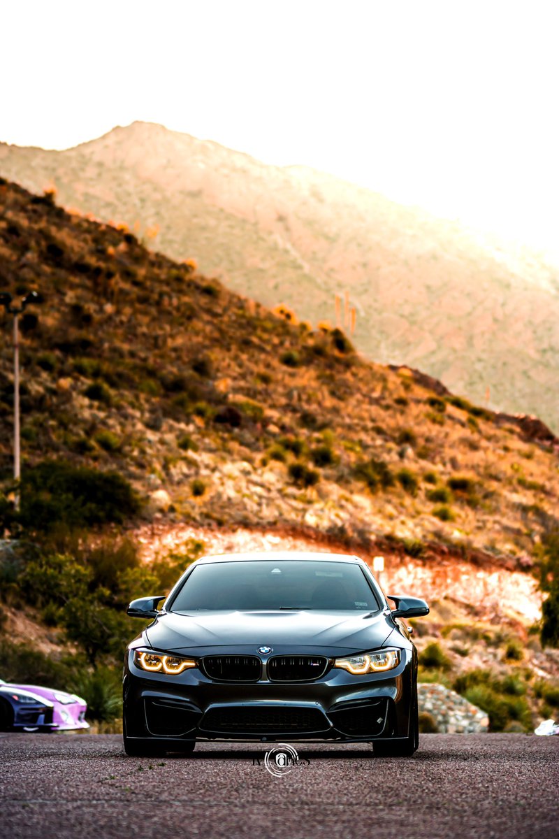 Irvin_Vazquez tweet media