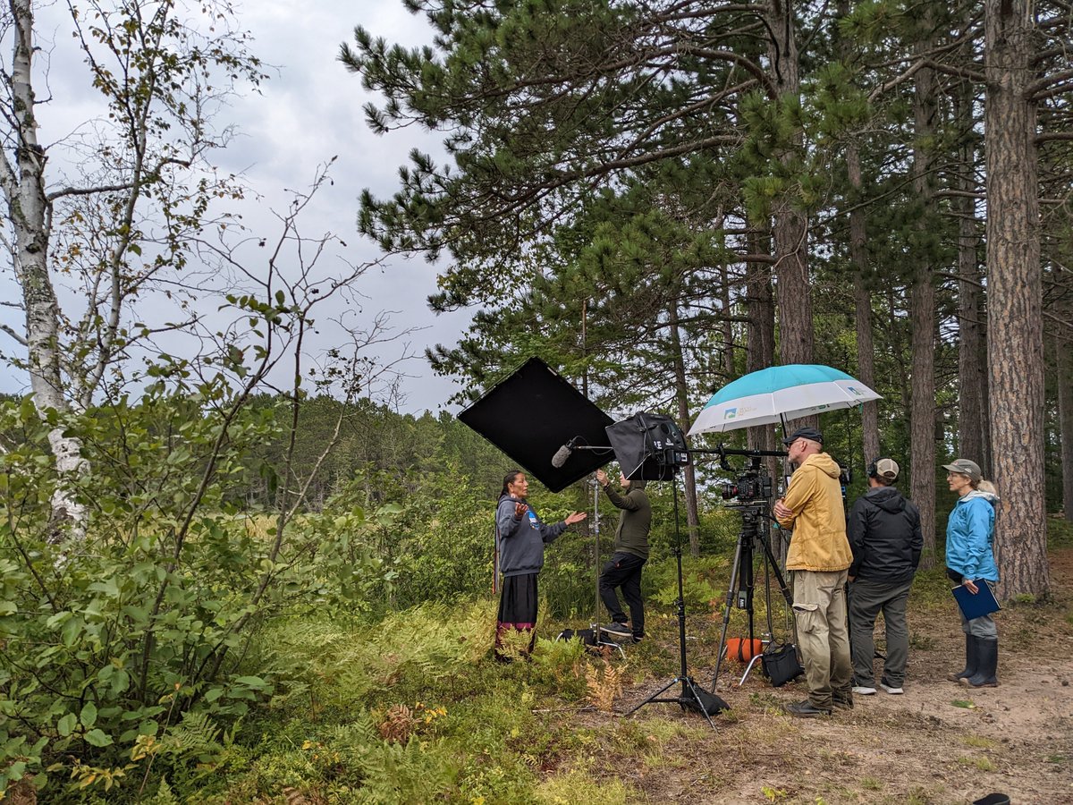 Wisconsin Wetlands tweet media