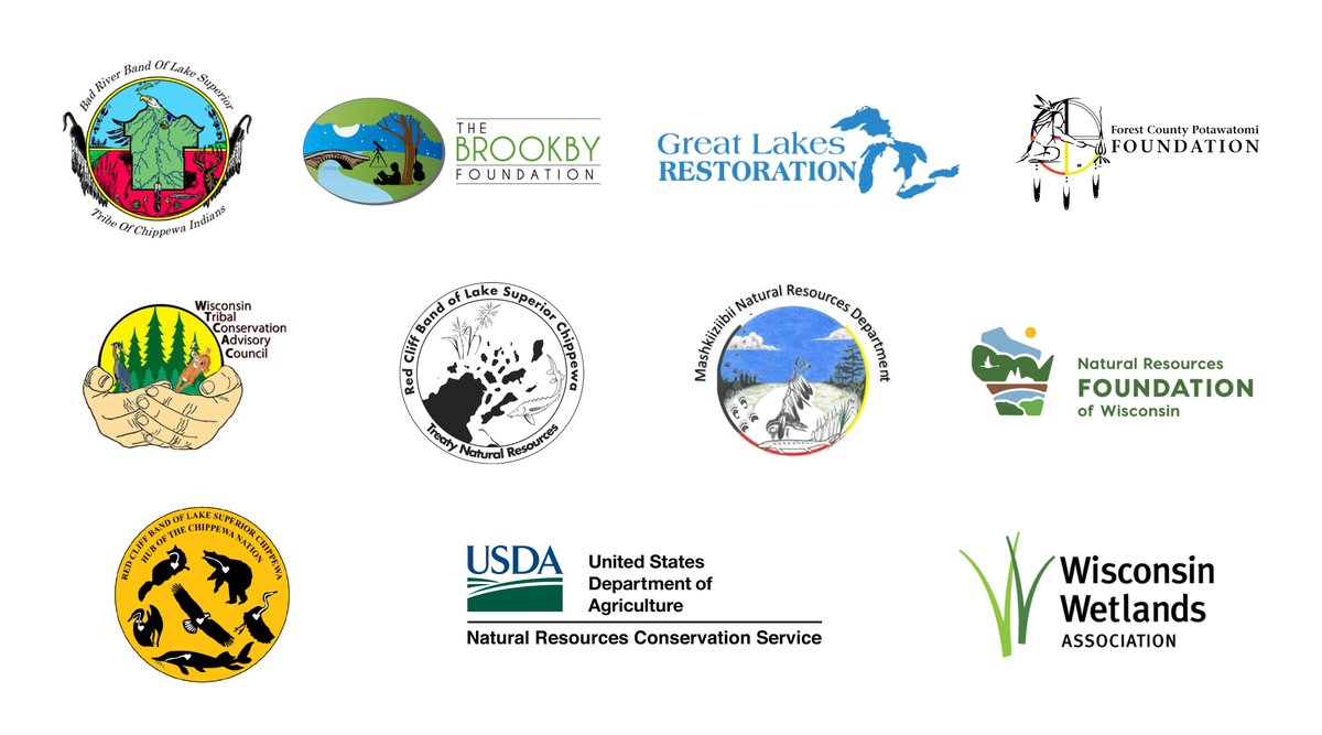 Wisconsin Wetlands tweet media