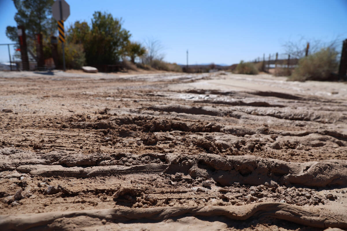 Ricardo Torres-Cortez tweet media