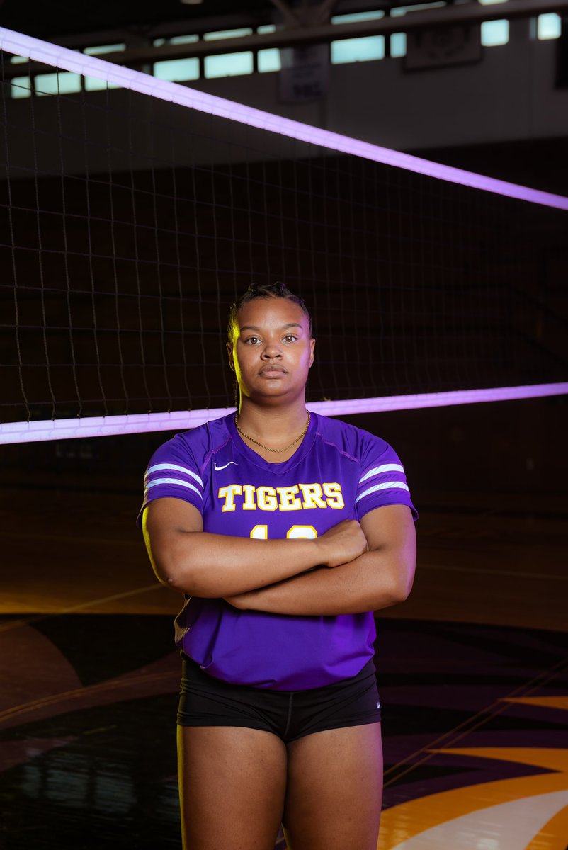 Lobo Volleyball tweet media