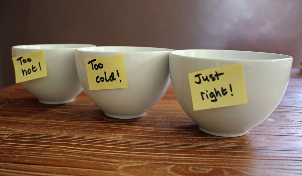 melishughes's tweet image. When the challenge is too great, frustration generates stress hormones engaging the survival brain and pausing the thinking brain.

Read more 👉 lttr.ai/94wt

#goldilocksrule #neuroscience #brainhack #neuronugget