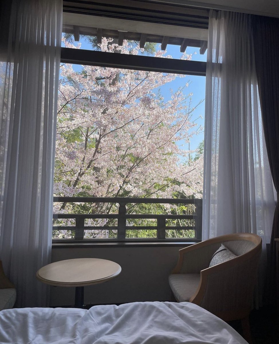 4月かな？弾丸で妹の子供、赤ちゃんを観に行った時の。蒲郡クラシックホテル。ギリギリまで仕事で到着したのは夜で、店も閉まってるわホテル内もご飯屋閉まってるわでガーンッだったんだけど、朝起きてカーテンを開けたら桜があった。 https://t.co/hMD0YSooOE