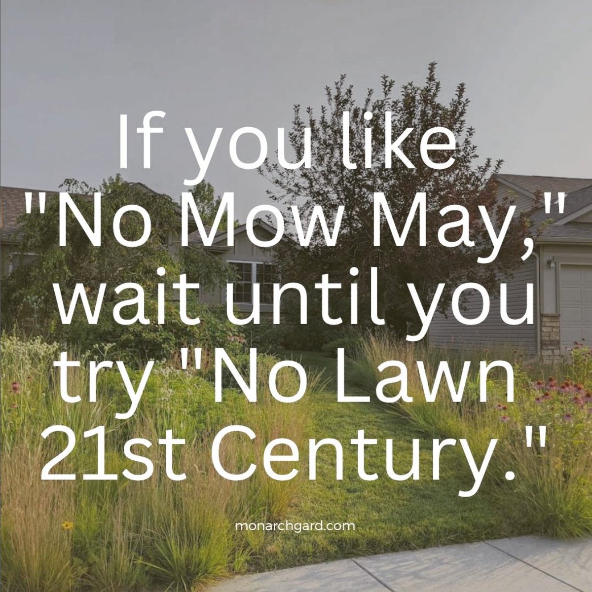 BRVogt's tweet photo. Unlawn America. https://t.co/3yhLEyCQ8O https://t.co/PaQZpEJCJc