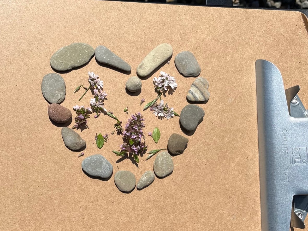 Ms. Scott tweet media