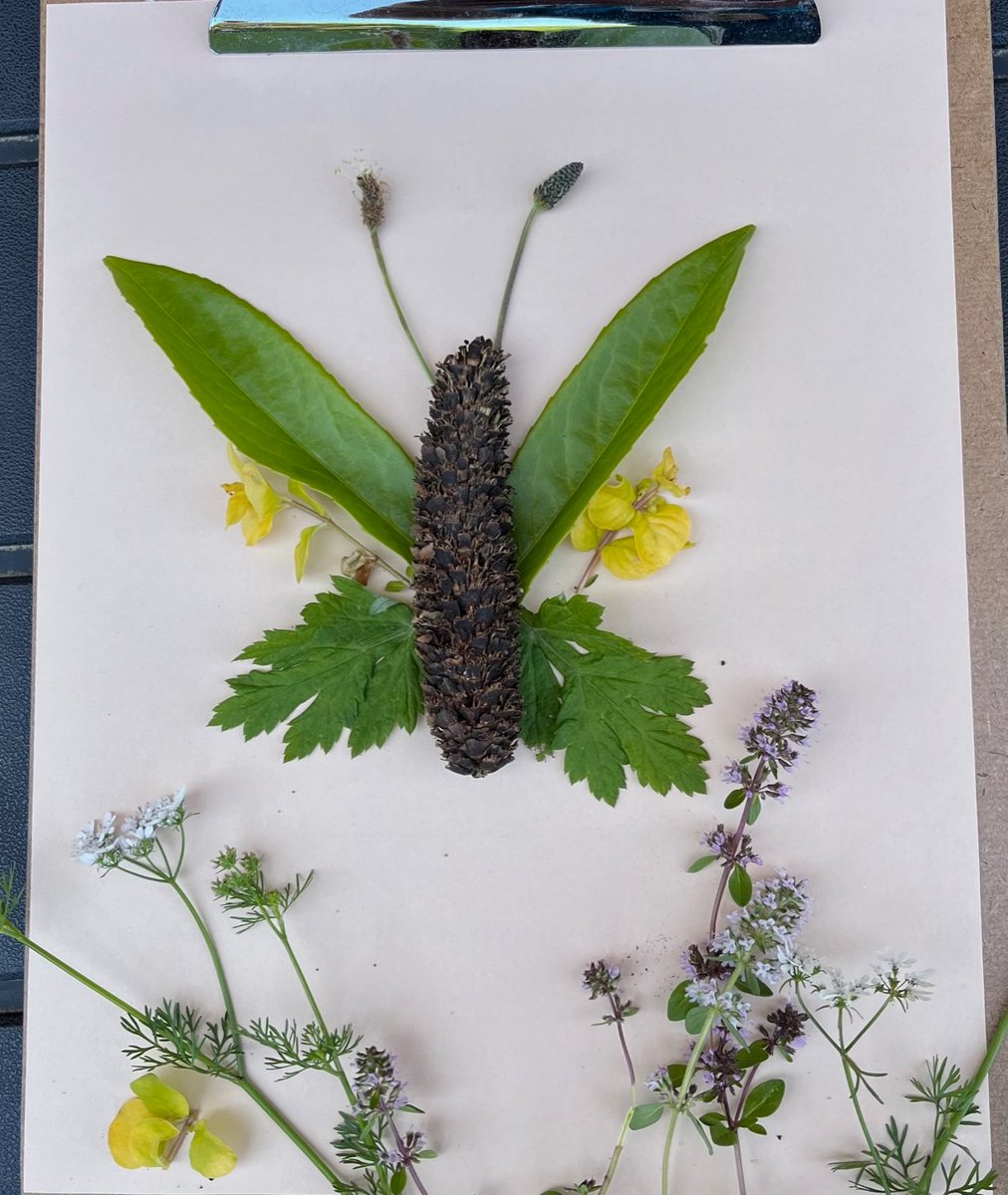 Ms. Scott tweet media