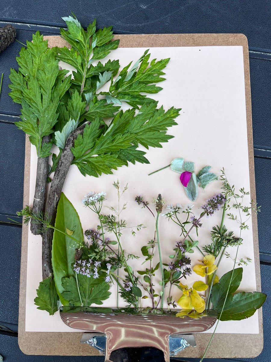 It was a perfect morning for working on some foraged art with some very creative 6th graders! @FDSVikings