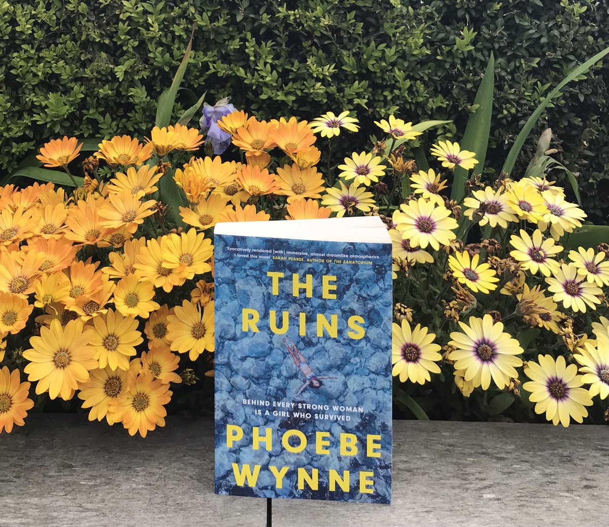 Wishing the wonderful @phoebewynne a happy publication day for the deliciously gothic #TheRuins. You will want this chilling domestic suspense to cool you down this summer! ‘I loved this novel’ Sarah Pearse ‘Beautifully written and haunting’ Cosmopolitan