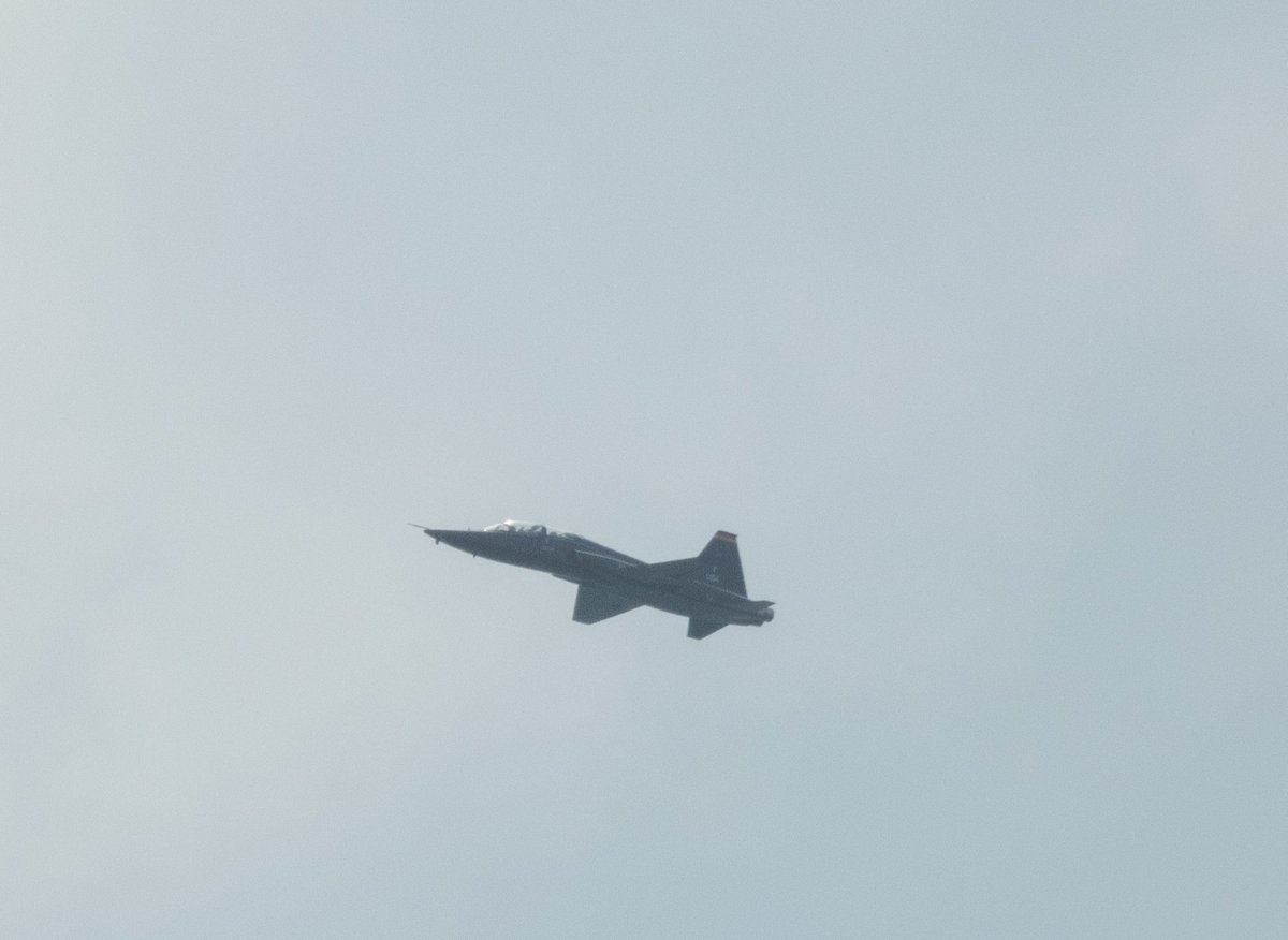 KMLorbz's tweet image. Better shot of the T-38 as it came back up the coast (still hazy). Then, an L-39 Albatros came flying down the coast. Looks like it did a little loop or two at the Wright Bros Nat'l Memorial before heading back north. #aviation #aircraft #milair #OBX