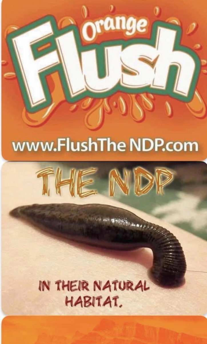 420TKN's tweet photo. @MichelleBaerNDP Flush the NDP , Notleys Boss Jagmeet is supporting a made in the Liberal Party cover up into the Chinese election interference, Canadians aren’t privy to how it’s done, but trudeau has a interest in electing Notley 🤮 #StopTheFix https://t.co/vwM0iez94g