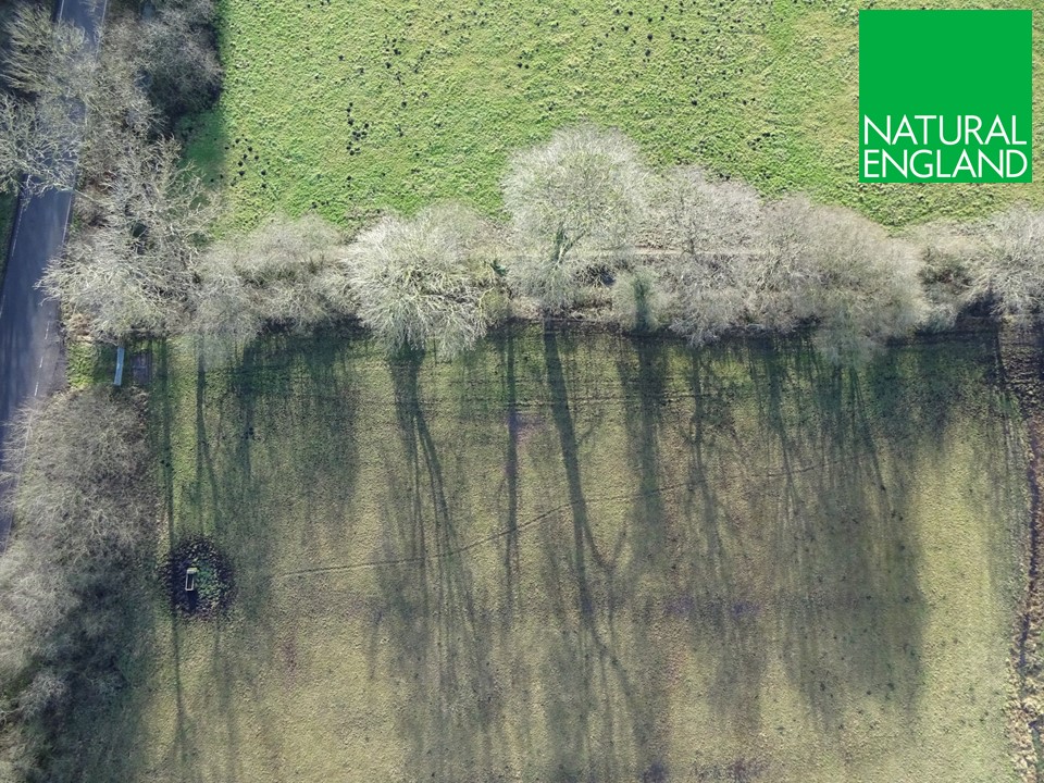 Amazing #jobopportunity. Come and work in our team. Lead Advisor post in the Earth Observation Service in the CSD at Natural England.
If you are interested in using your #EO skills for nature recovery this could be for you.
 #remotesensing  civilservicejobs.service.gov.uk/csr/jobs.cgi?j…