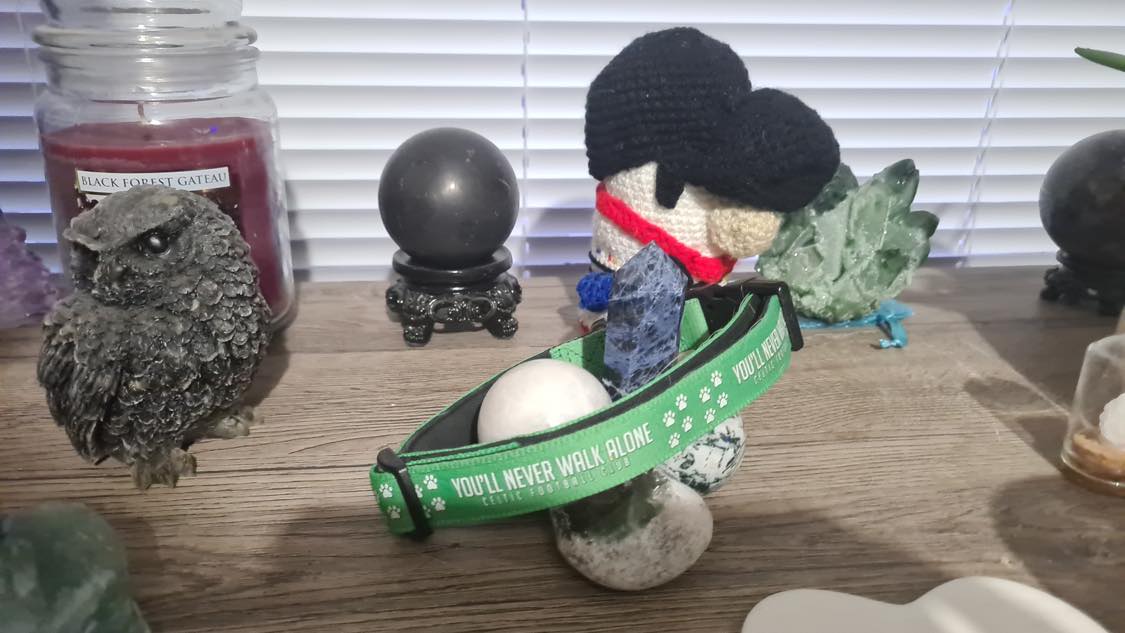 MS Argyll Snowdrop Centre tweet media