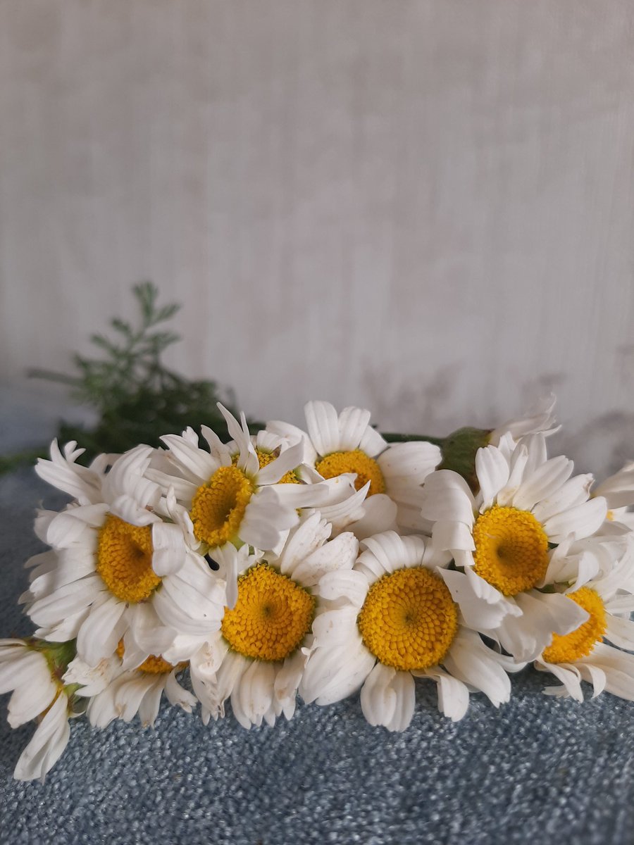 Mutluluk paylaştıkça çoğalmıyor çünkü nazar değdiriyorsunuz, kenafir gözlüler sizi.