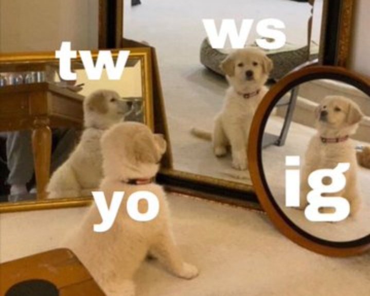 yo cada vez que salgo bien en una foto:
