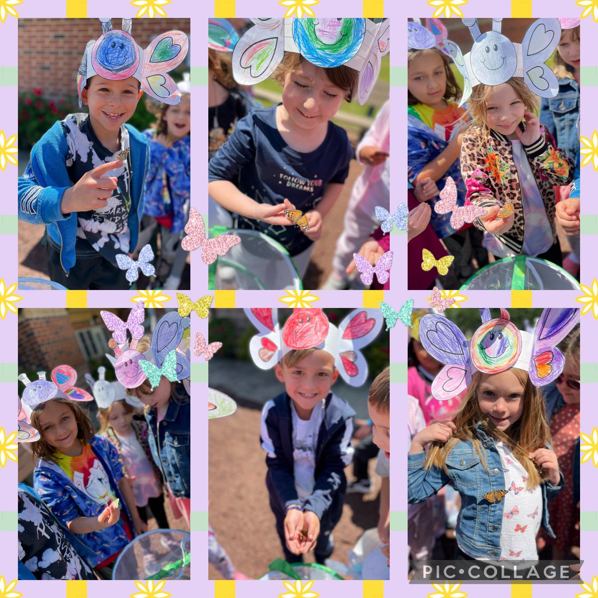 Suzanne Scarnati (@msscarnati) on Twitter photo Today we released our 10 beautiful butterflies: Daisy, Westin, Ava, Dave, Catena, Goldy, Smartie, Sugar Sprinkle, Snowflake and Jack ๐ฆ We had the best experience observing the life cycle of the butterfly and will miss them so much! #LifeCycles #Science ๐ฅ๐๐ฆ <a href="/CatenaColts/">@Catenacolts</a> Today we released our 10 beautiful butterflies: Daisy, Westin, Ava, Dave, Catena, Goldy, Smartie, Sugar Sprinkle, Snowflake and Jack ๐ฆ We had the best experience observing the life cycle of the butterfly and will miss them so much! #LifeCycles #Science ๐ฅ๐๐ฆ <a href="/CatenaColts/">@Catenacolts</a>
