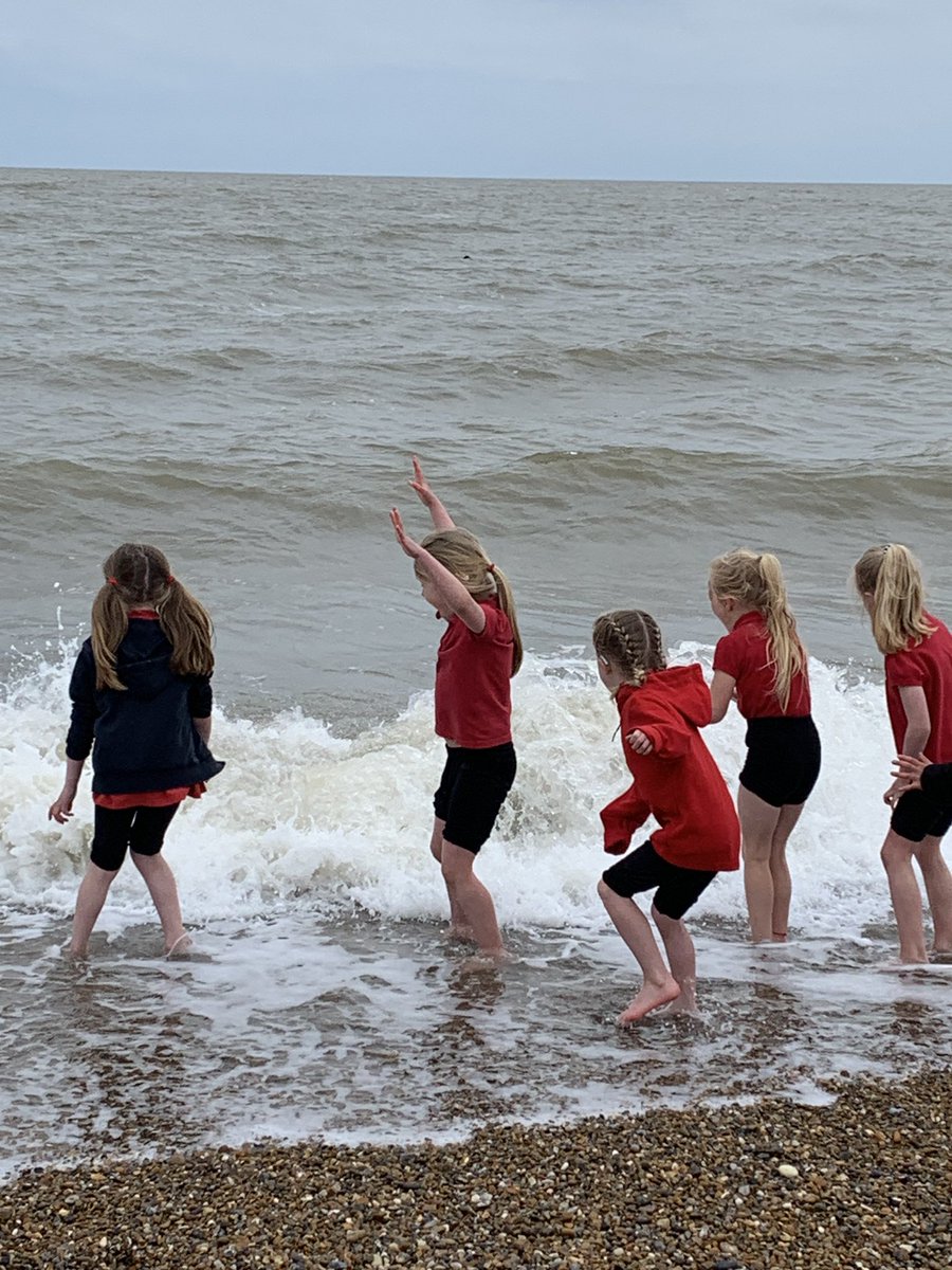 Sarah Fisk tweet media