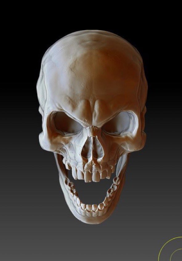 skeleposting's tweet photo. CUM https://t.co/RrHOEstYeK