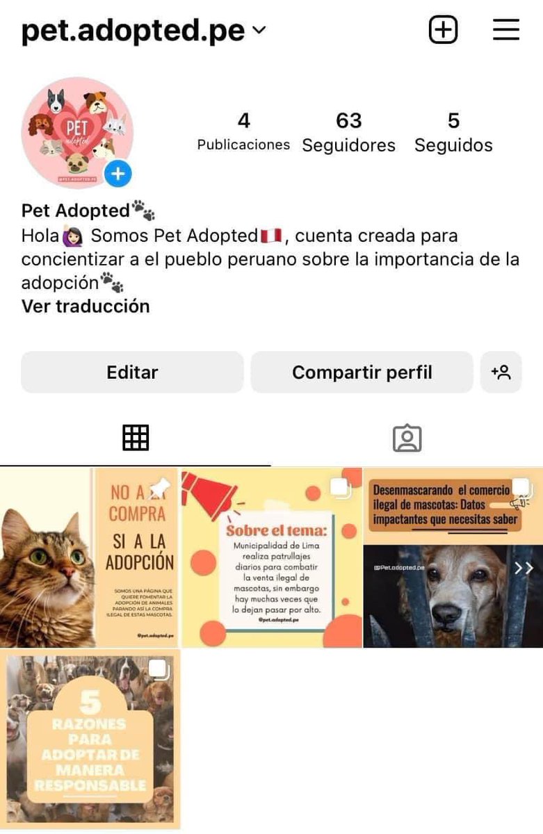 km270501's tweet photo. Hola a todos🙋🏻‍♀️ Con un grupo de amigas, hacemos creado una pagina de IG sobre la importancia de la adopción de mascotas, esperamos su apoyo con un follow🫶🏻🐾 

Link: https://t.co/fVocR7j8hb https://t.co/Wx3DMSFuo0