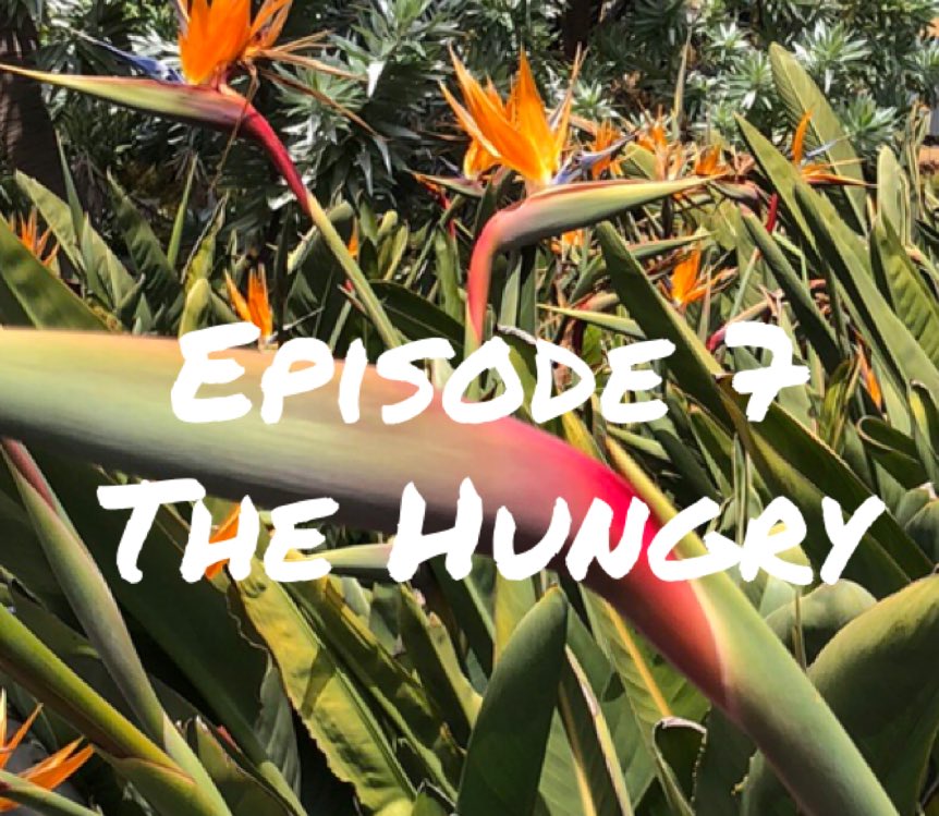 Pot5R's tweet image. Episode 7 is out now for early access!
.
.
.
#ttrpg #l5r #gamer #fantasy #pic #Pot5R #dice #roleplay #tabletopgaming #oni #rpg #spotify #patreon