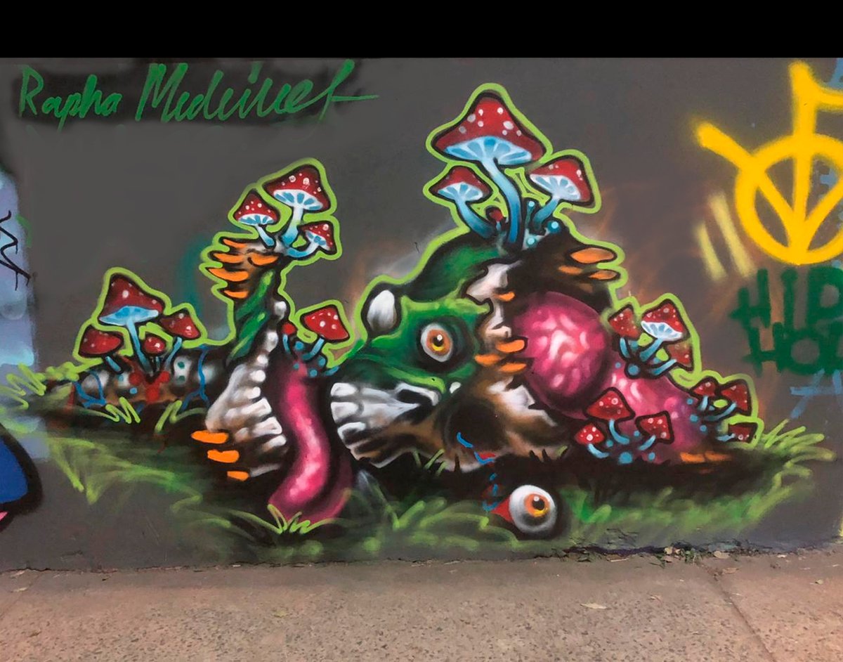 graf do fds . voltando a pintar com spray (((: 🍄🧟‍♂️#graffitti #spray #StreetArt #characterart #zombie #Mushroom