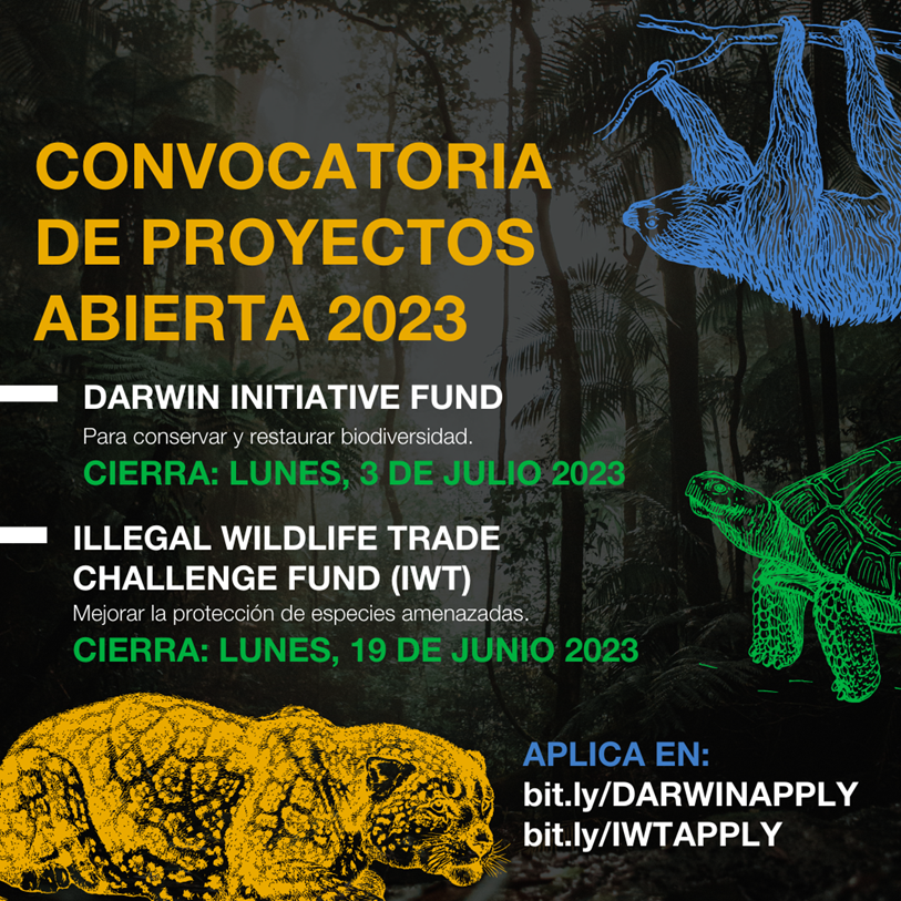 El 🇬🇧 tiene dos fondos para proyectos abiertos 👇

🐸 #DarwinInitiative: Que conserven y restablezcan la biodiversidad

🐯 Illegal Wildlife Trade Challenge Fund #IWTCF: Que protejan especies amenazadas

Pueden aplicar en ⤵️
🔗 bit.ly/DARWINAPPLY 
🔗 bit.ly/IWTAPPLY