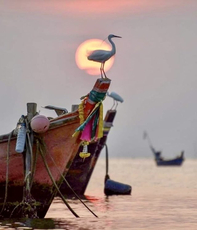 ✨✨

İnsan bu dünyada aldıklarının hepsini iade eder.

Müstesna yoktur...!

/P.Safa/

#MutluAkşamlar ☕️🕊