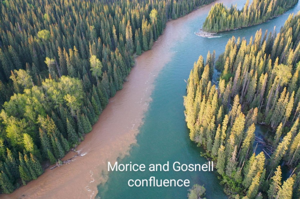 The Gosnell is thick and sludgy. Where it enters the Wedzin Kwa, the Wedzin Kwa changes from clear blue green to an opaque brown.

The violent history of colonization has sought to disconnect us from the healing and nourishing power of our lands.