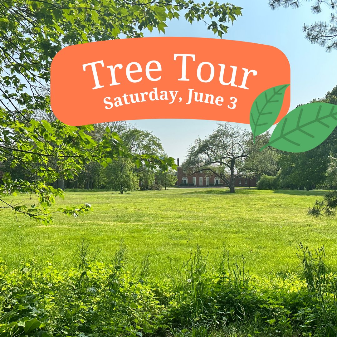 Get to the root of both the science and history with us! Along the way, we'll point out some of the most noticeable and iconic trees near our historic mansion and you'll learn the basics of identifying trees.

goreplace.org/whats-on/tree-…

#TreeID #BostonEvent #NatureWalk