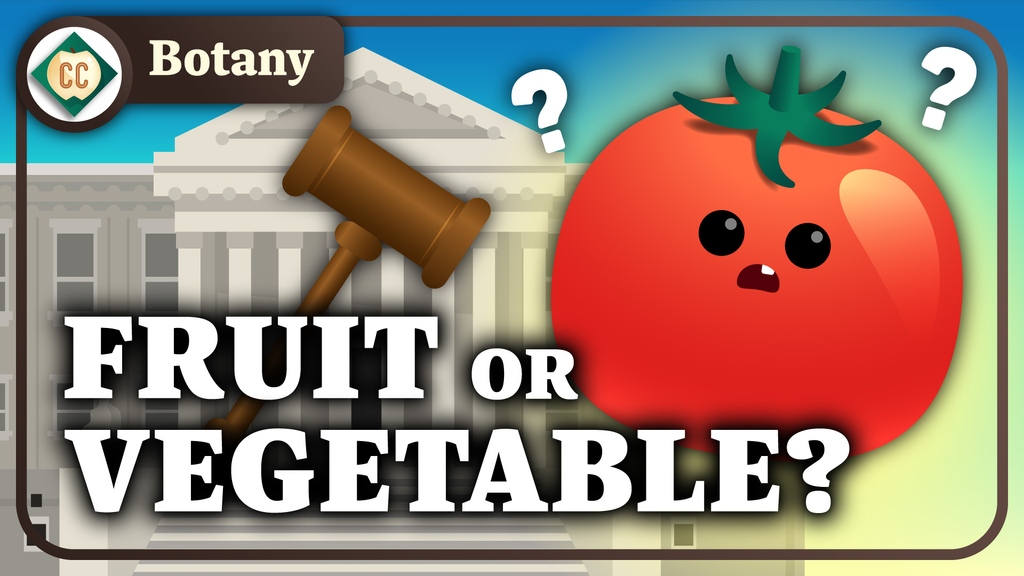 This week in Crash Course Botany we're headed to the grocery store to learn about plant organs, a.k.a. leaves 🥬, stems 🥔, roots 🥕, fruits 🍅, and 'vegetables.' 🤔 

We'll never look at a tomato the same way again. youtu.be/9AEzixu_xZk

#botany #vegetables #fruit #plants