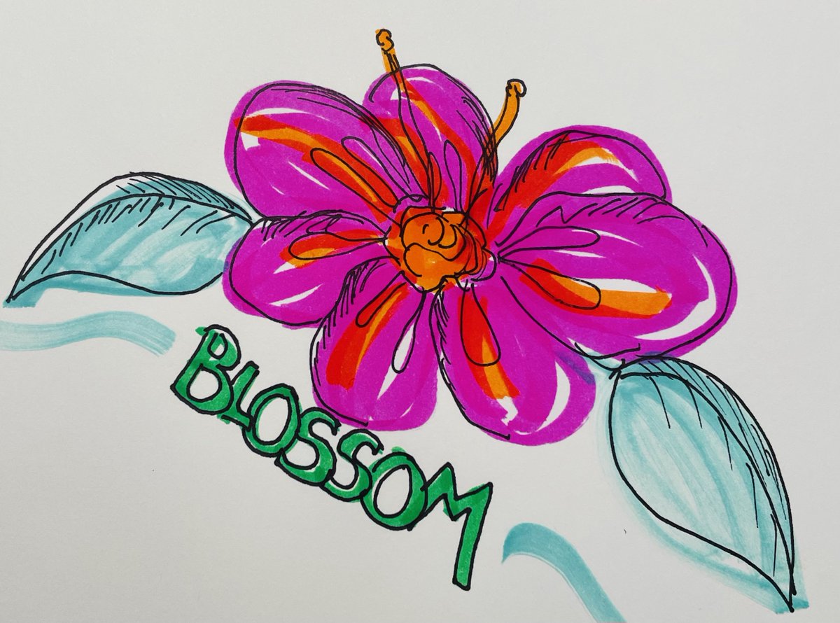 What is a person-centered conversation?
A conversation between equals to discover a person’s unique gifts, skills, and capacities and what is important to them so they can have the life they want for themselves.
When people feel seen and heard...they blossom!