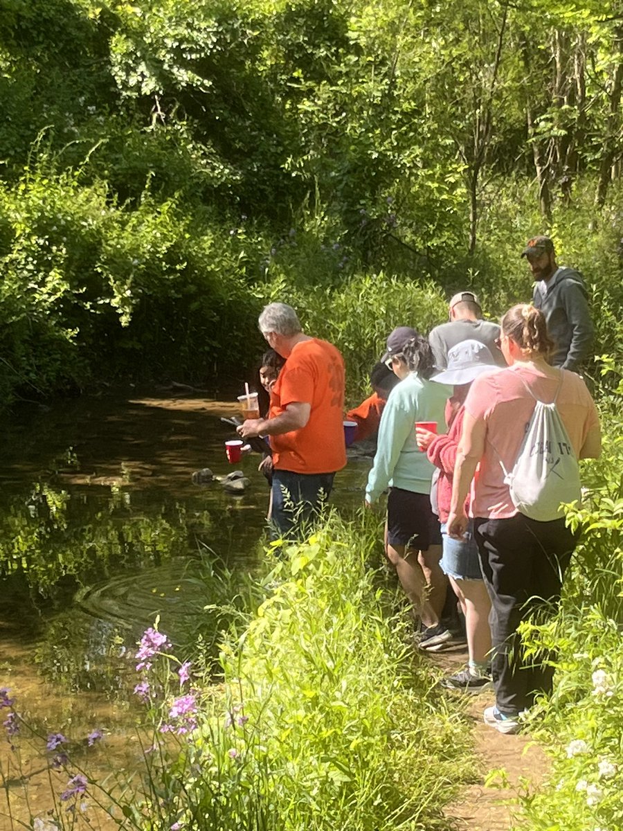 Great day for trout release!
@CoralynStreett and MHS and WFES students worked together to release 150+ babies into Middle Creek!
#knightsunite
#greeningschools