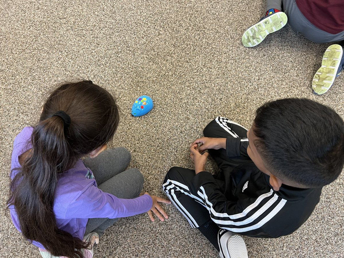 Lisa Wallace tweet media